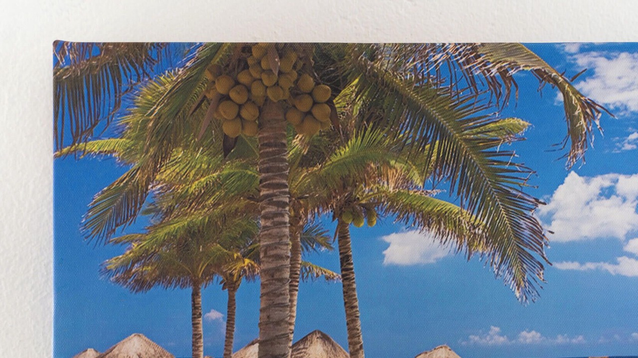 Photo of Others in Areias de Sao Joao