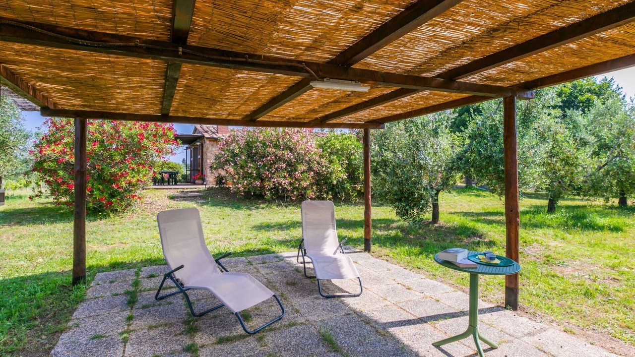 Photo of Outdoor in Bibbona