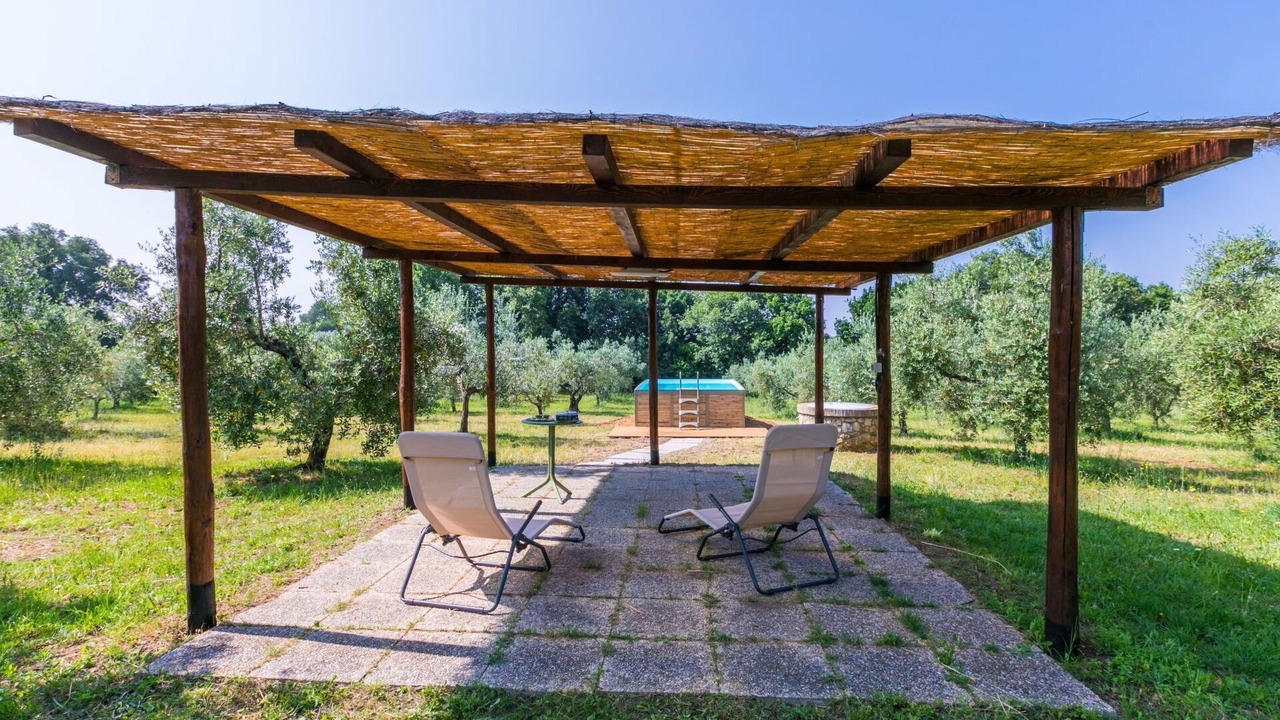 Photo of Outdoor in Bibbona