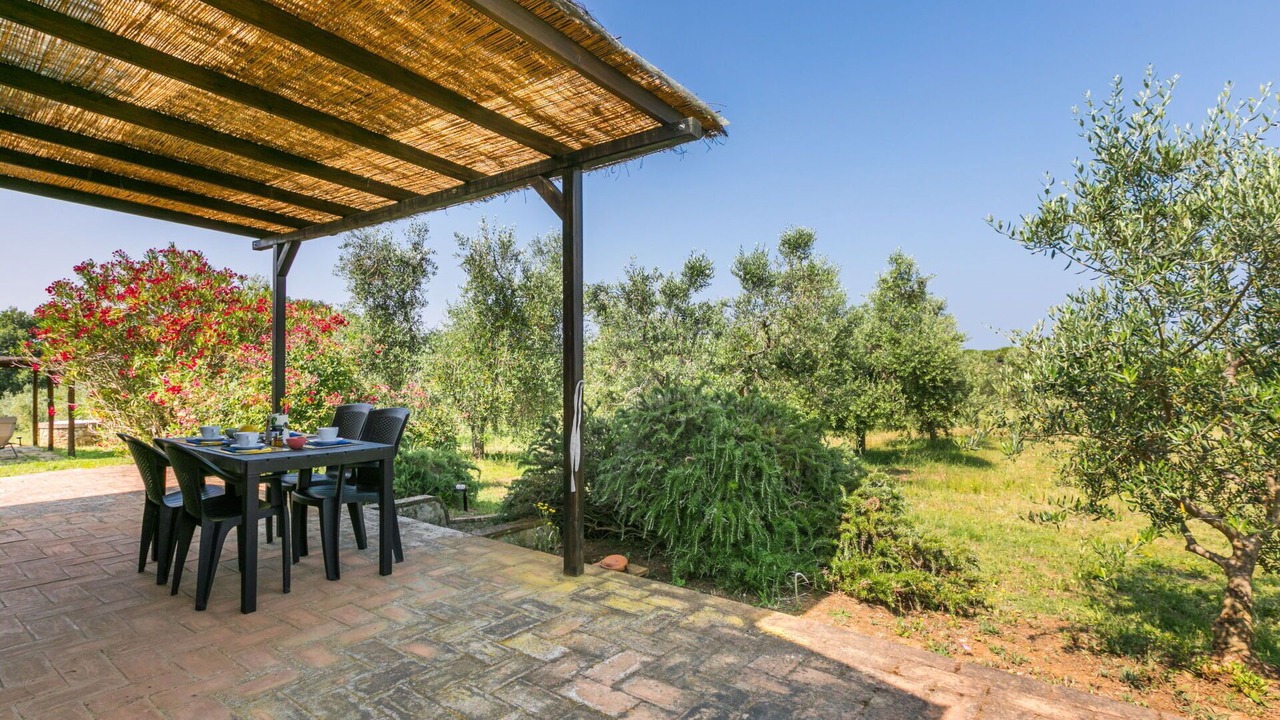 Photo of Outdoor in Bibbona