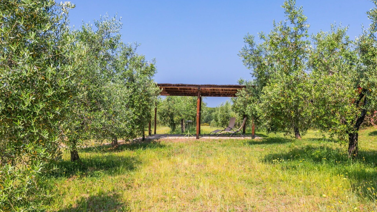 Photo of Outdoor in Bibbona