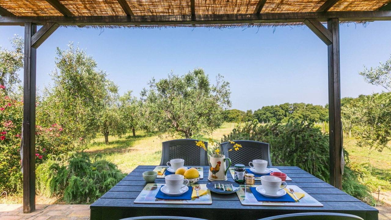 Photo of Outdoor in Bibbona