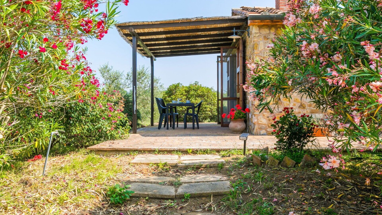Photo of Outdoor in Bibbona