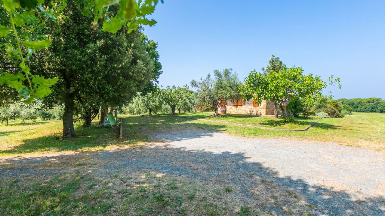 Photo of Outdoor in Bibbona