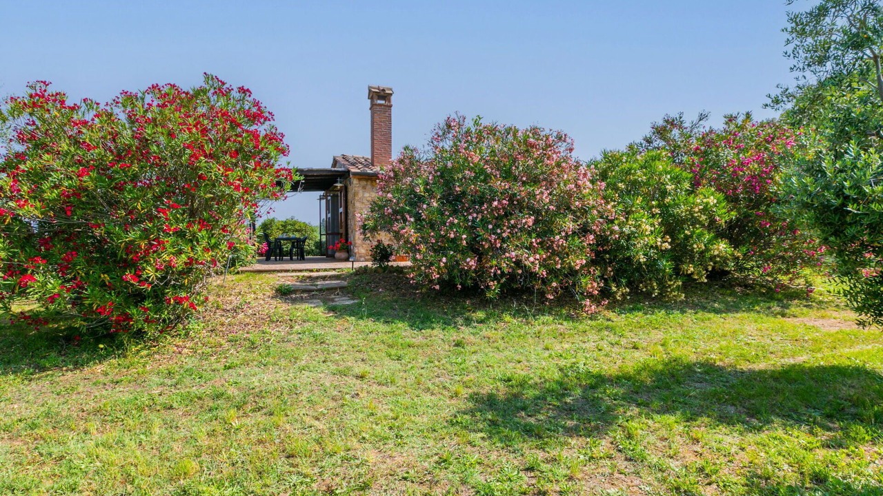 Photo of Outdoor in Bibbona