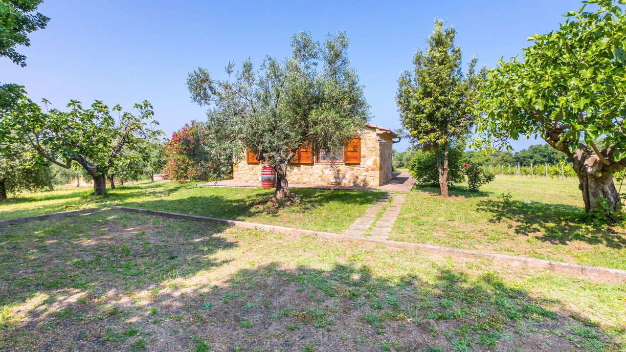 Photo of Outdoor in Bibbona