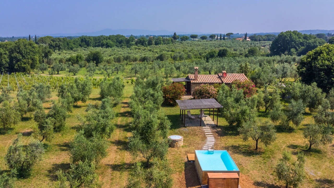 Photo of Outdoor in Bibbona