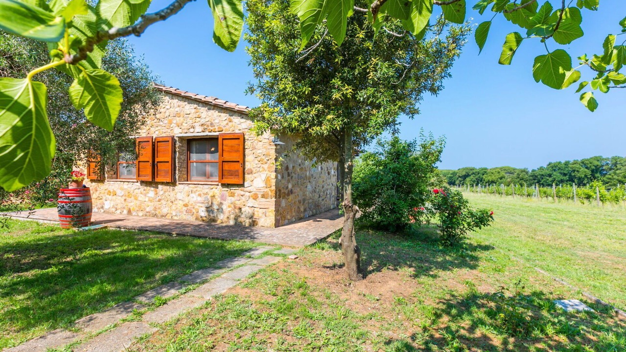Photo of Outdoor in Bibbona
