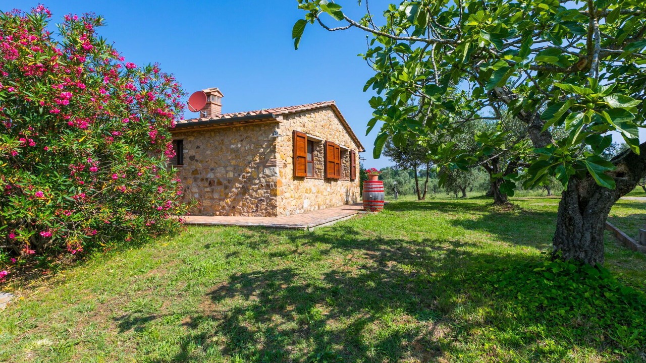 Photo of Outdoor in Bibbona