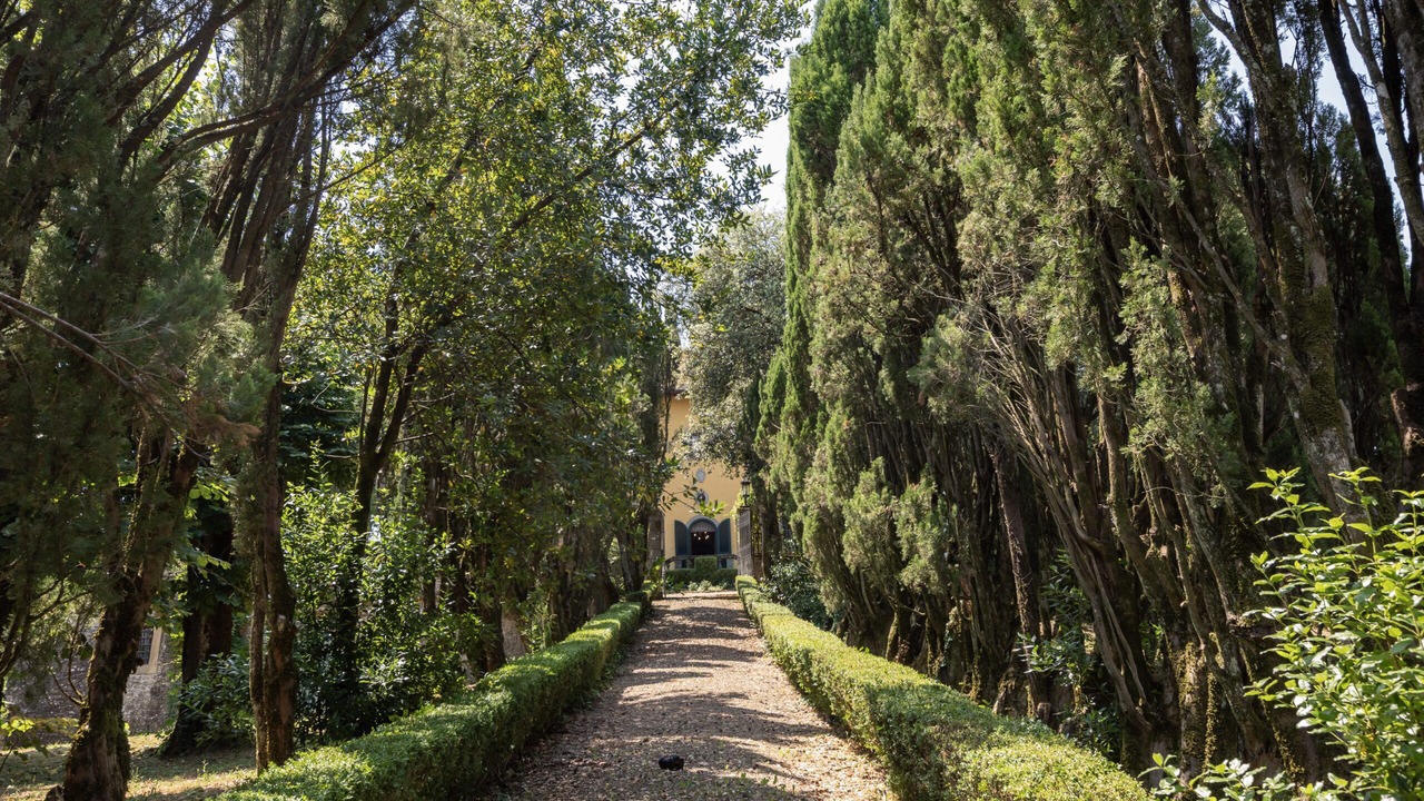 Photo of Outdoor in Vicchio