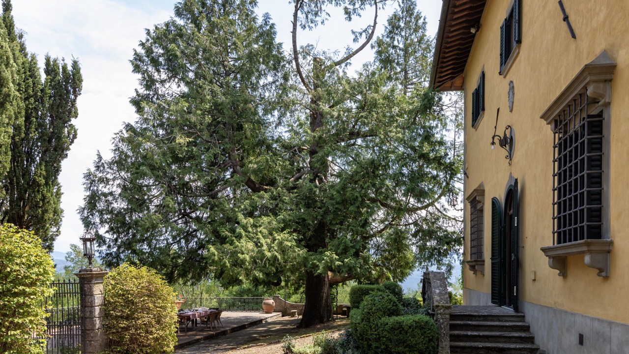 Photo of Outdoor in Vicchio