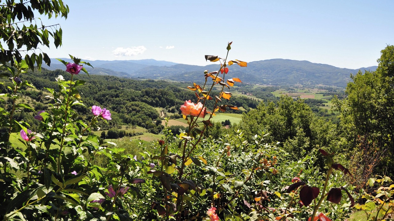 Photo of Others in Gattaia