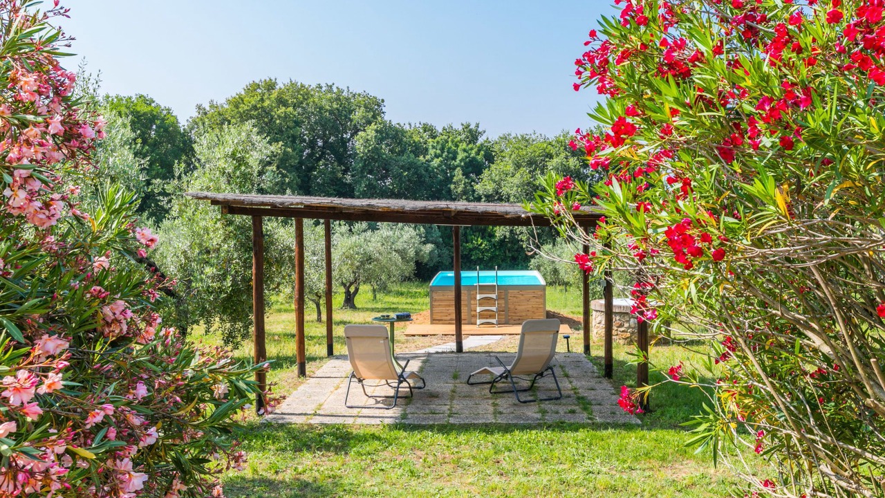 Photo of Outdoor in Bibbona