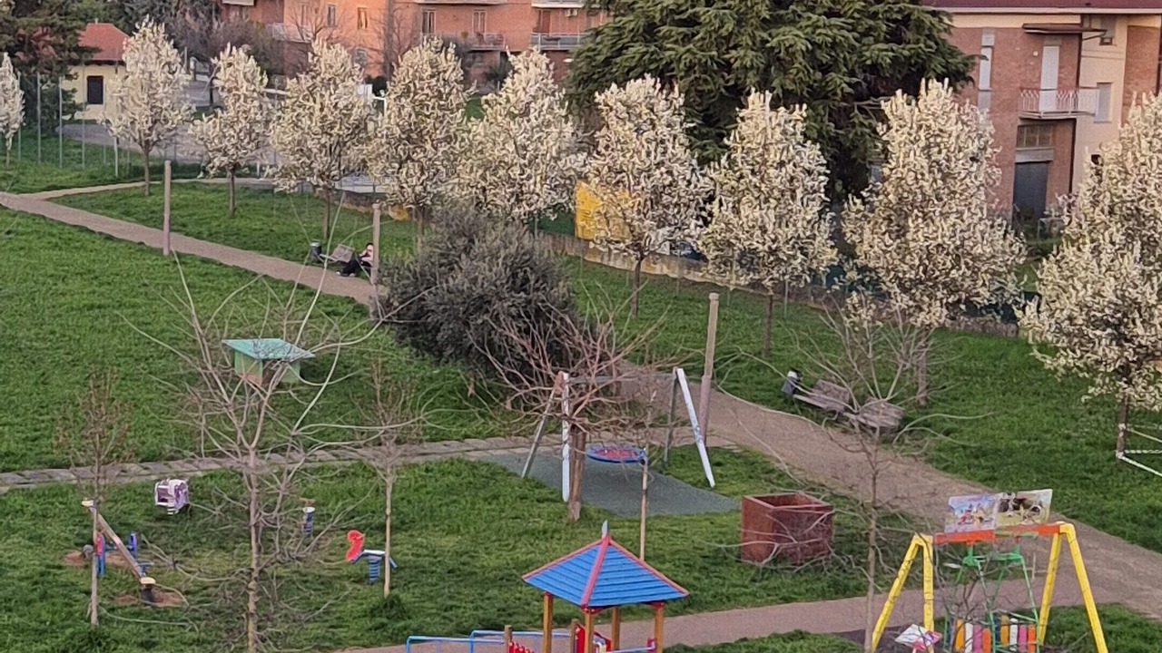 Photo of Others in Vignola