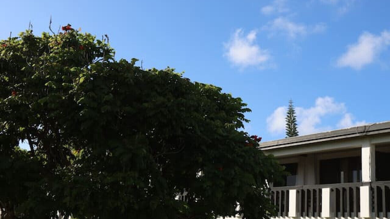 Photo of Outdoor in Estate Carlton 1 North
