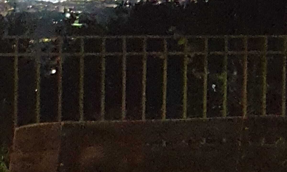 Photo of Others in Florence