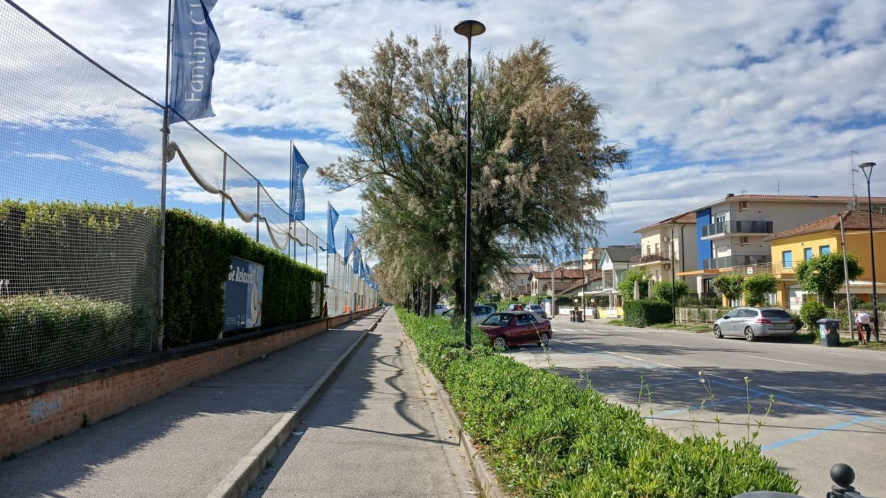 Photo of Others in Pinarella