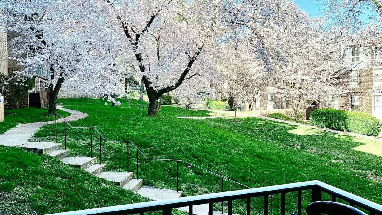Photo of Outdoor in Aspen Hill
