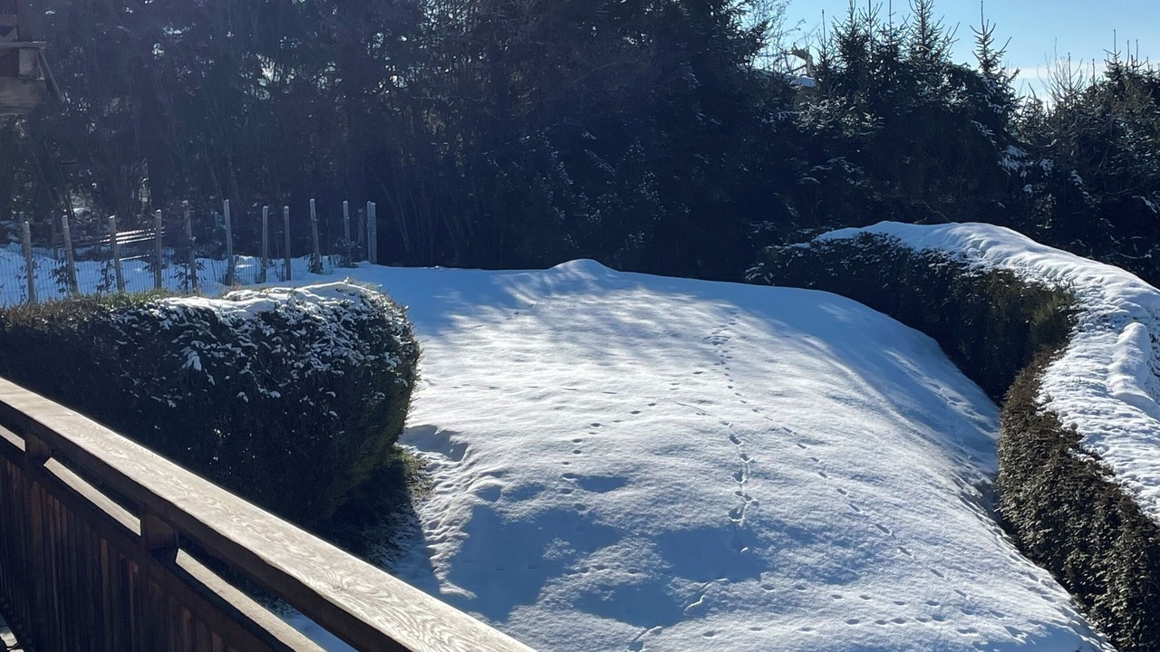 Photo of Outdoor in Notre-Dame-de-Bellecombe