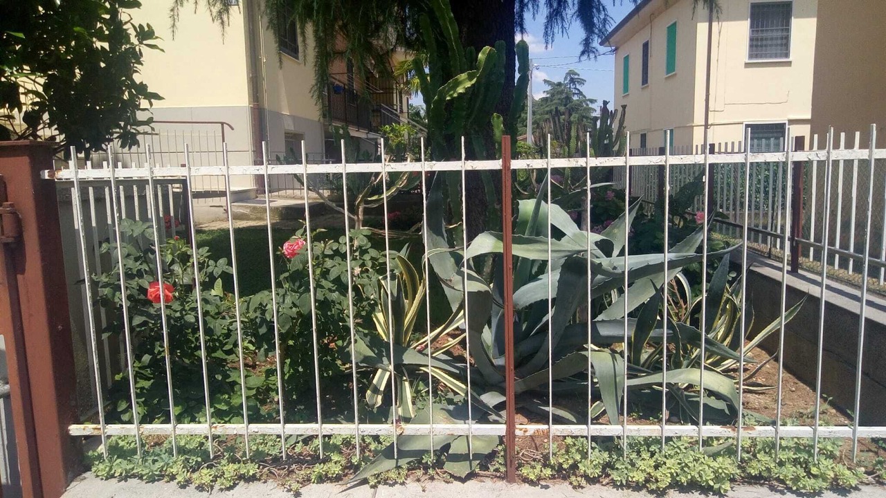 Photo of Outdoor in Castel San Pietro Terme