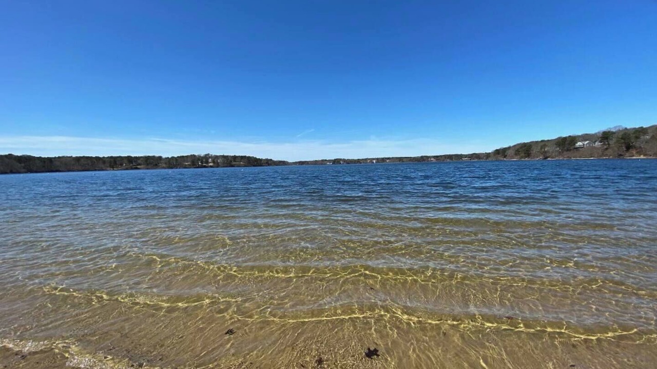 Photo of Others in South Dennis