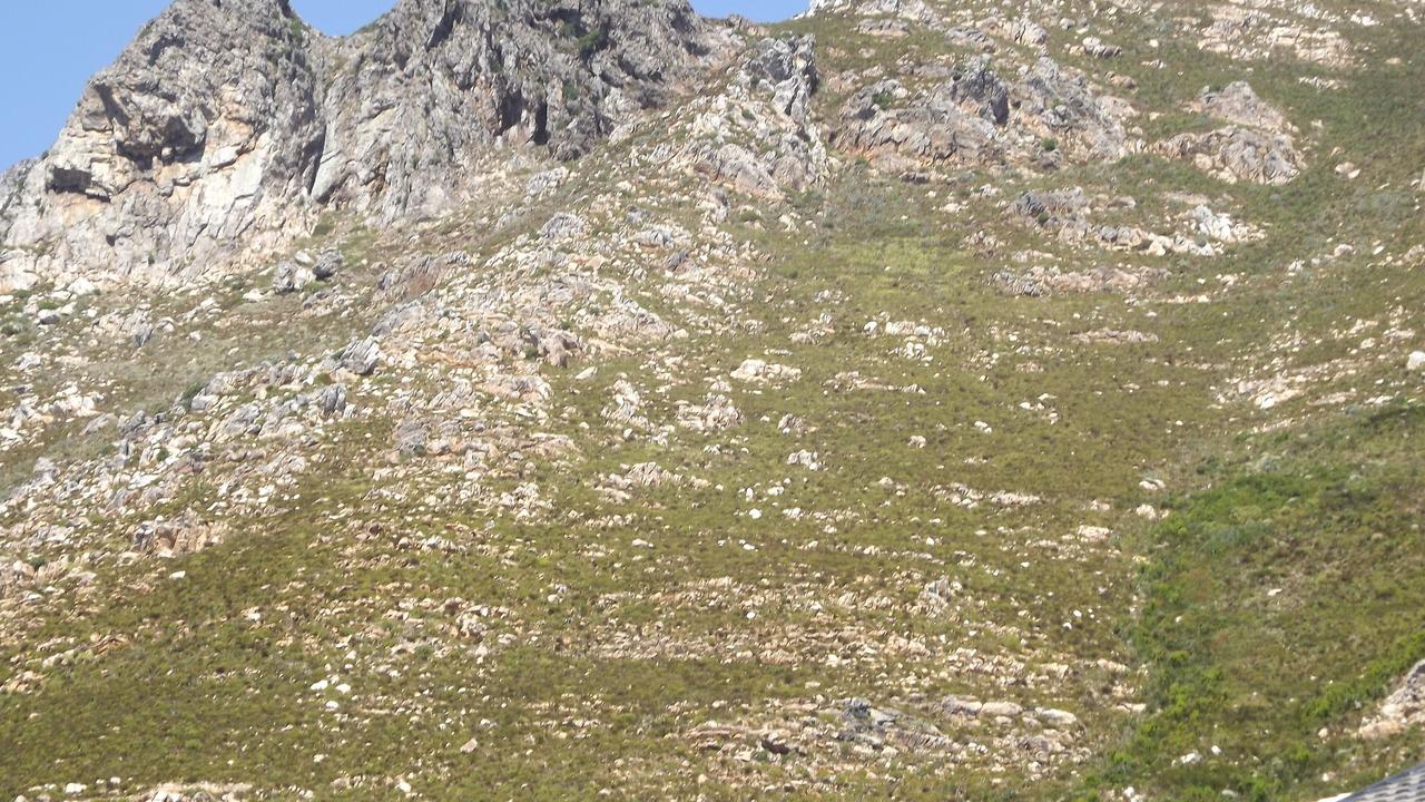 Photo of Others in Mountainside