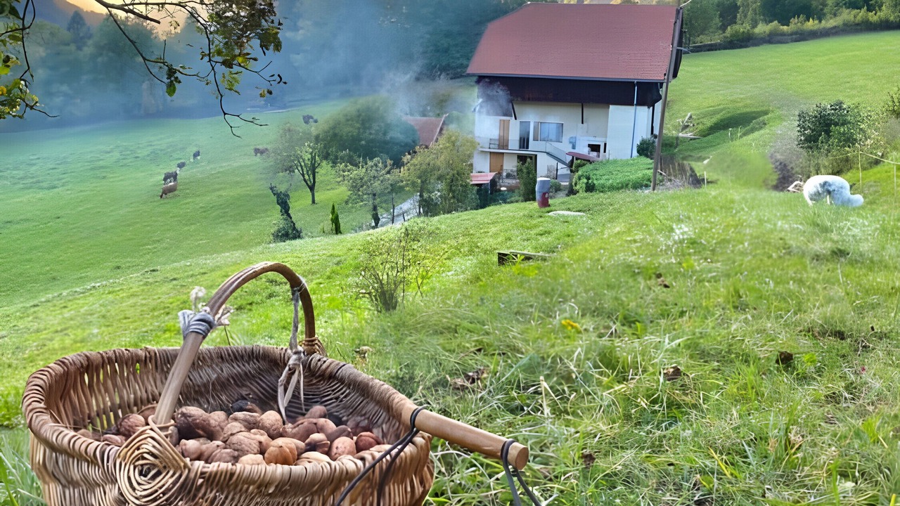 Photo of Outdoor in Ugine
