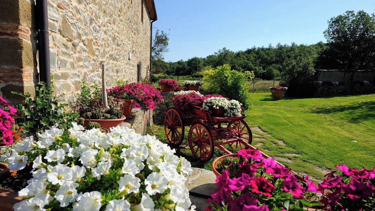 Photo of Outdoor in Bucine