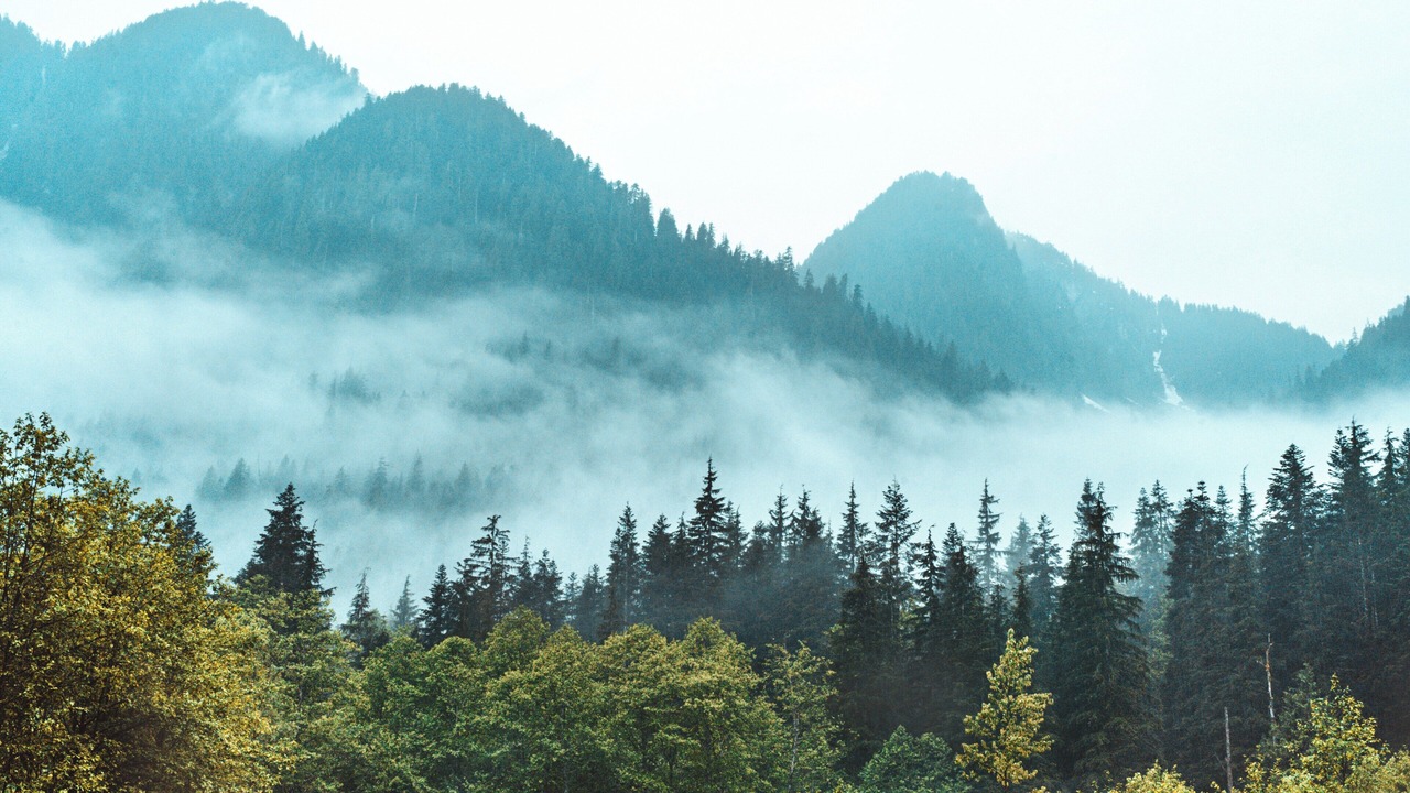 Photo of Others in North Vancouver