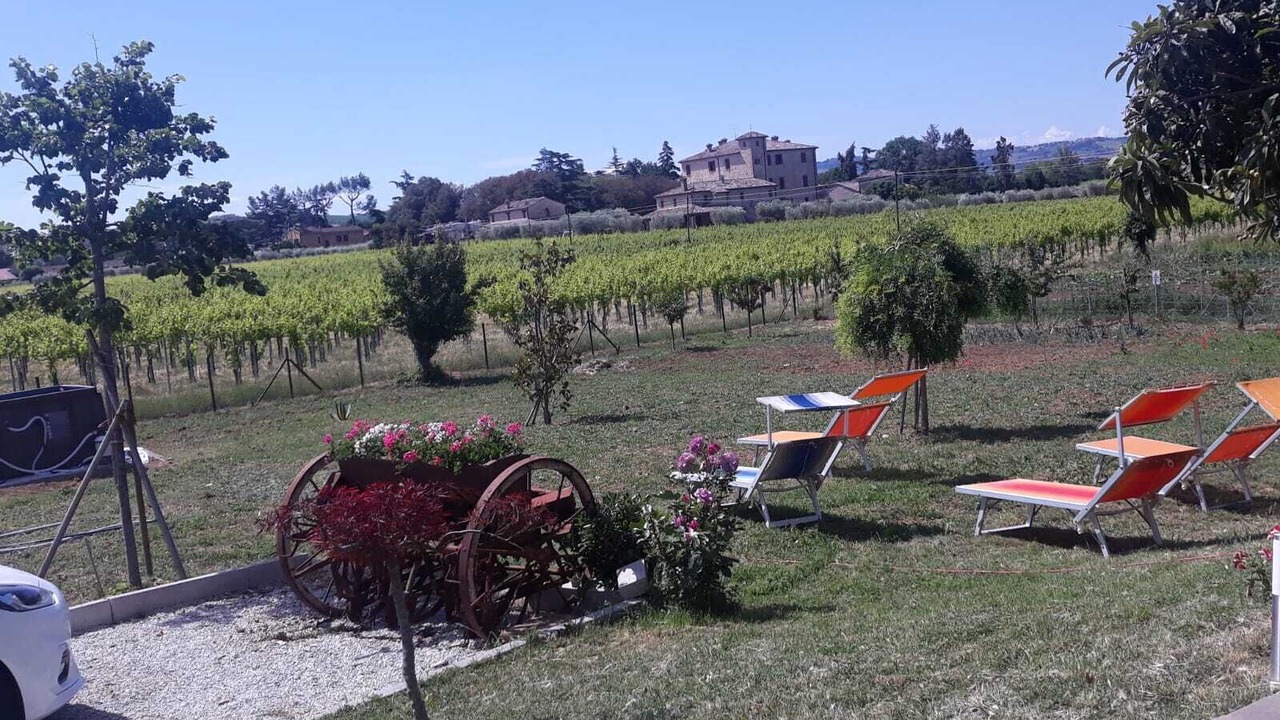 Photo of Outdoor in San Giovanni In Marignano