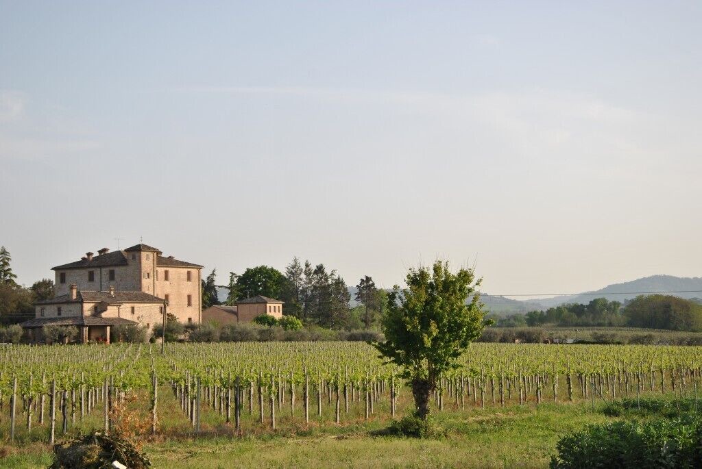 Photo of Others in San Giovanni In Marignano