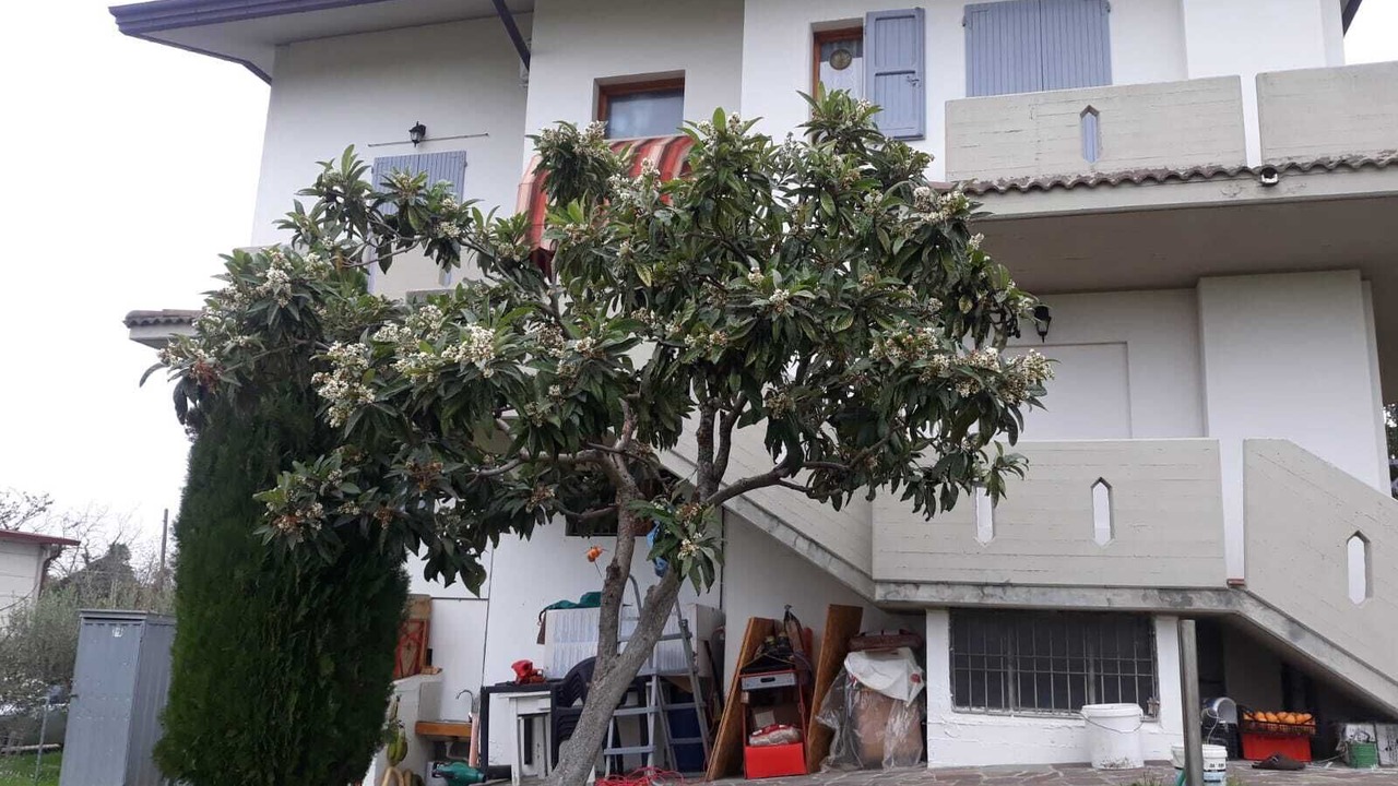 Photo of Outdoor in San Giovanni In Marignano