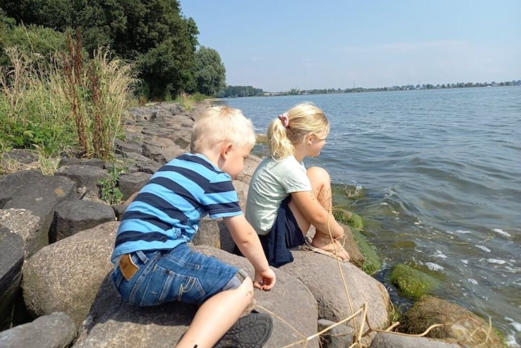 Photo of Others in Schellinkhout