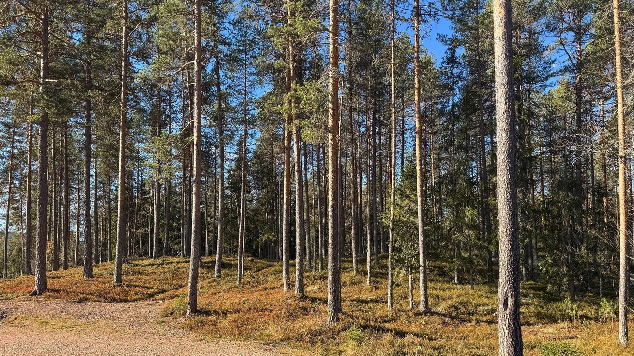 Photo of Others in Ljordal