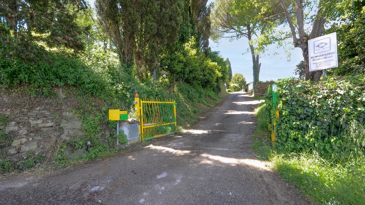 Photo of Others in Forcoli