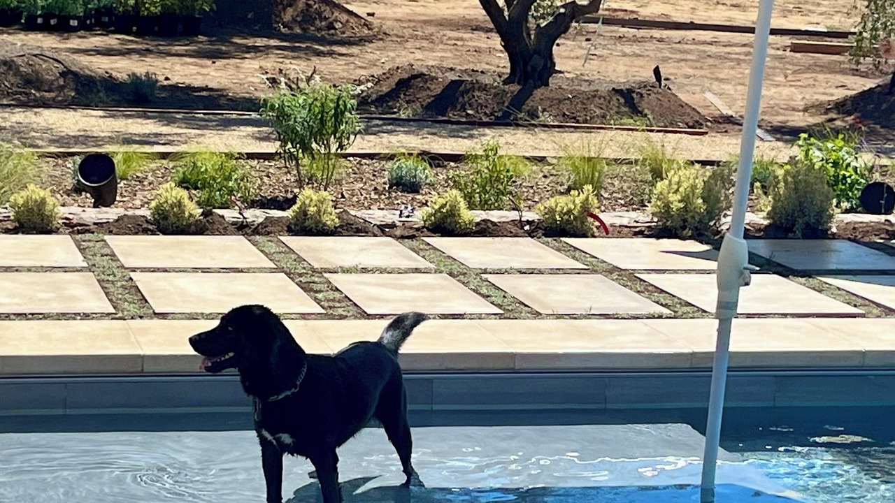 Photo of Outdoor in Napa