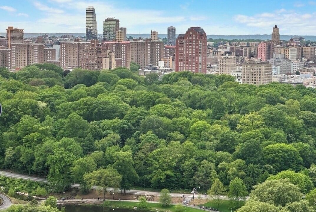 Photo of Others in Central Park North