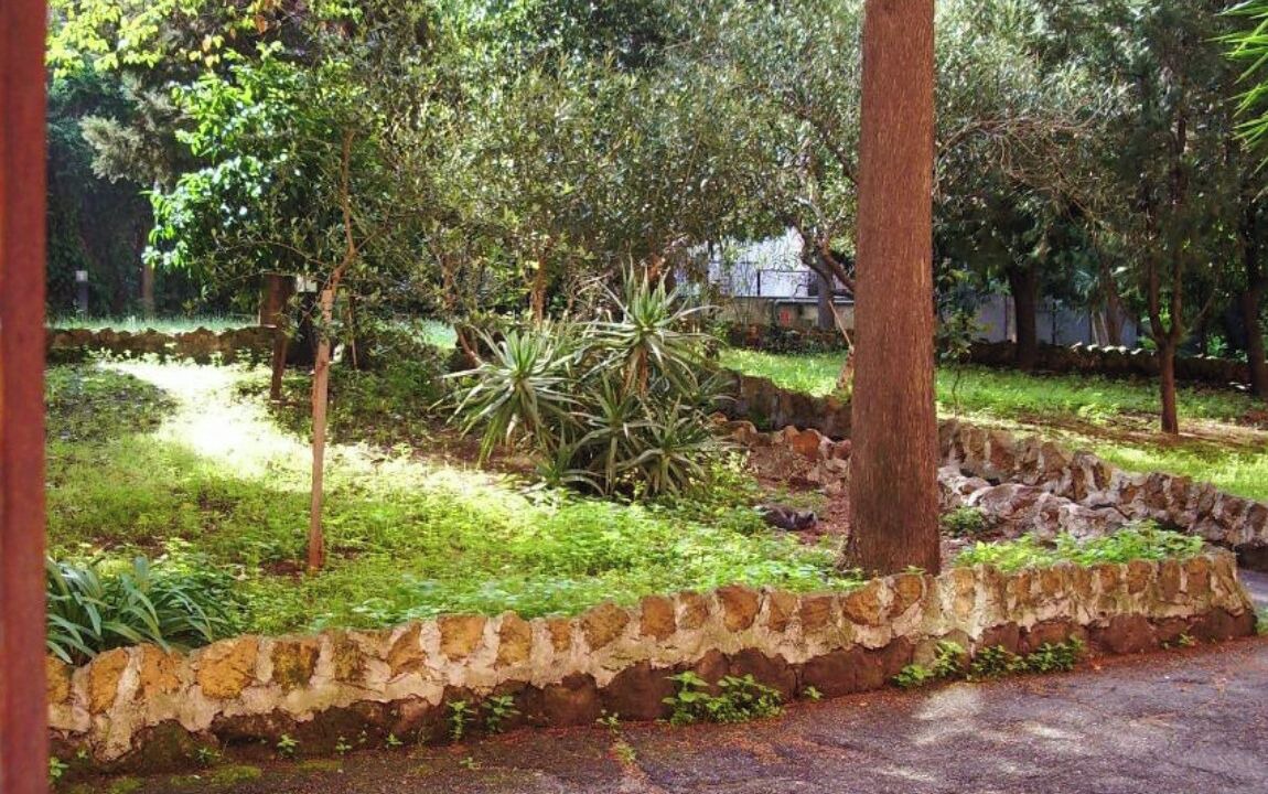 Photo of Outdoor in Monte Sacro