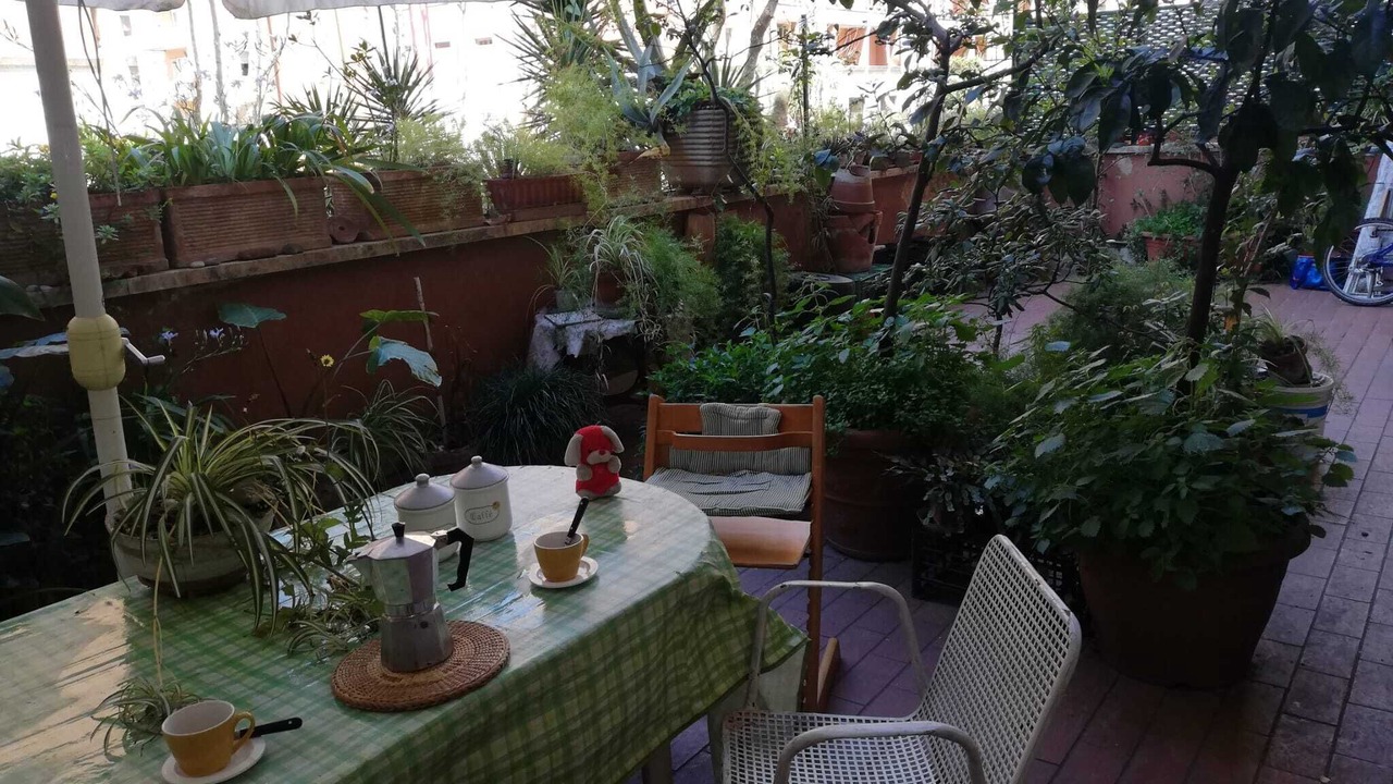 Photo of Outdoor in Monte Sacro