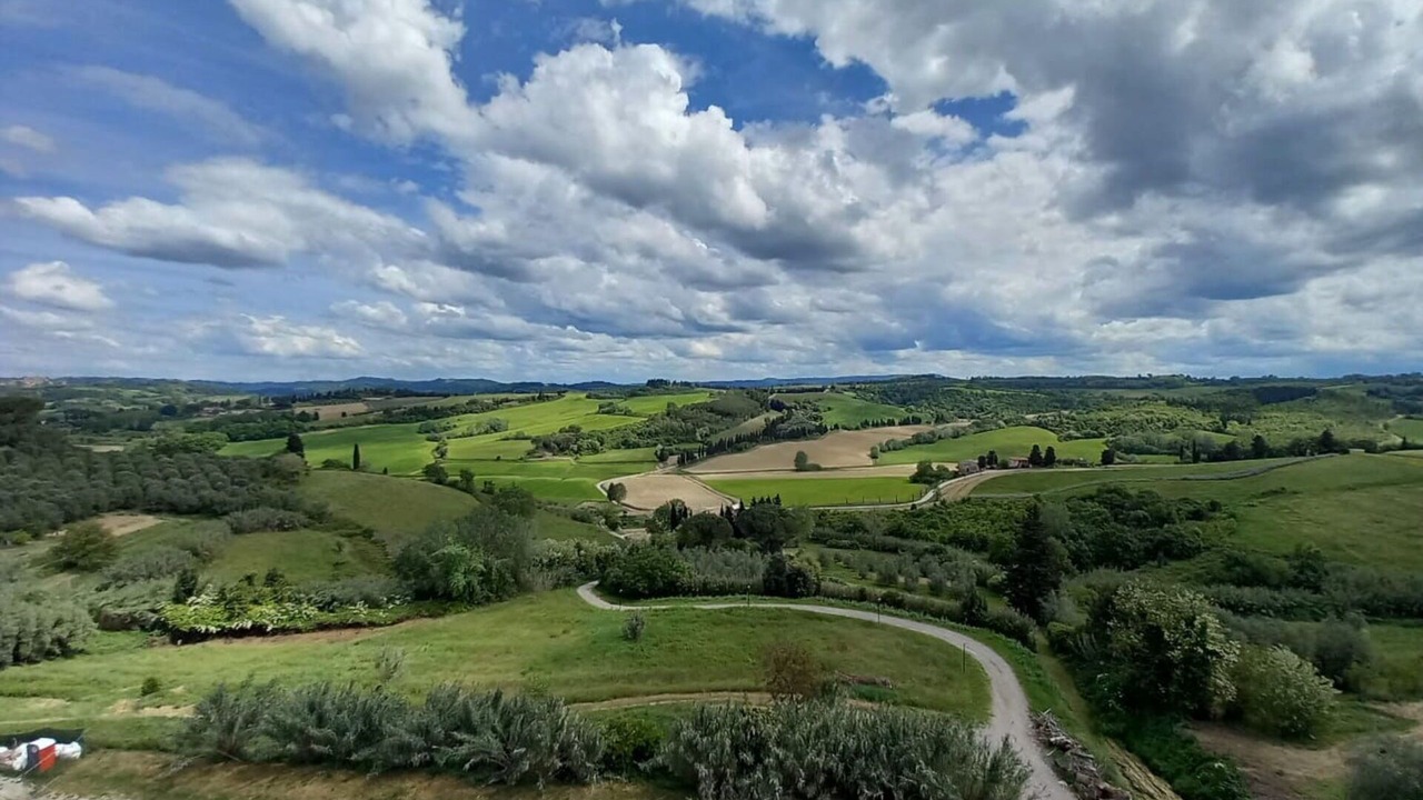 Photo of Others in Terricciola
