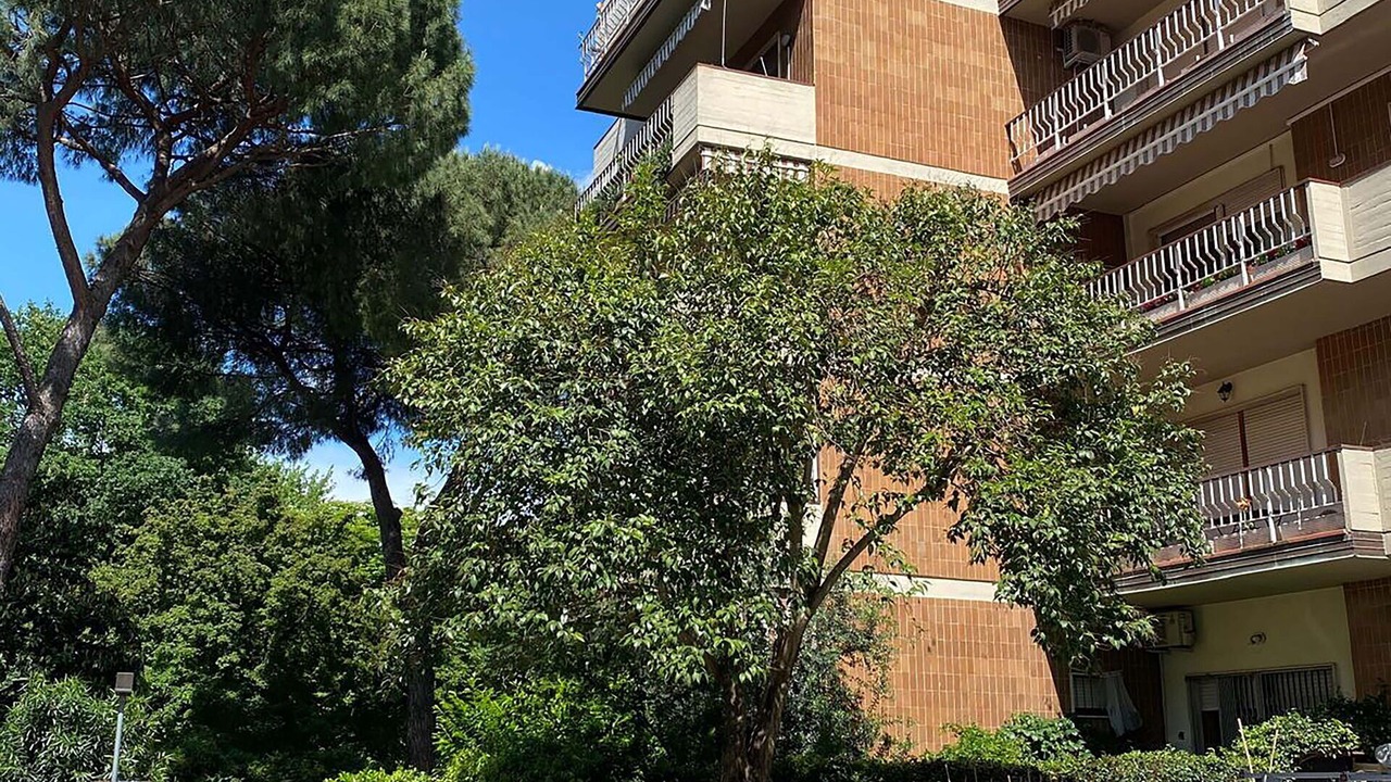 Photo of Outdoor in Isolotto