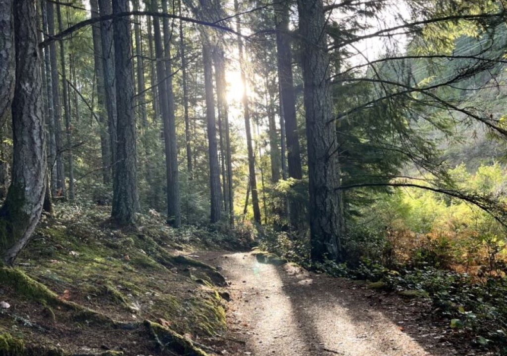 Photo of Others in Regional District of Nanaimo