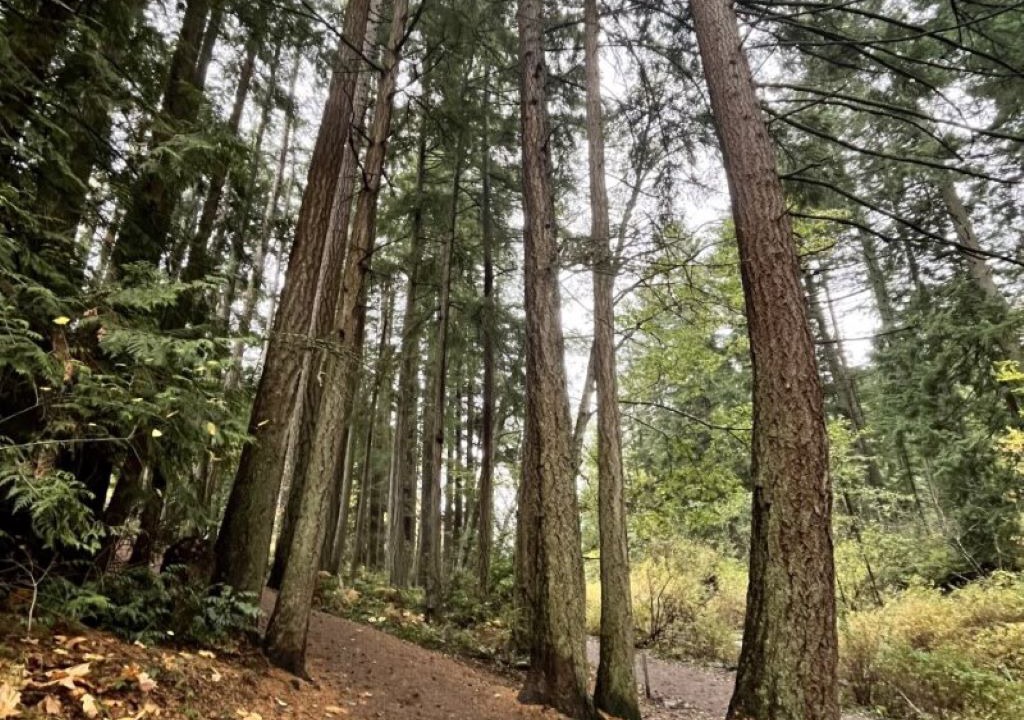 Photo of Others in Regional District of Nanaimo