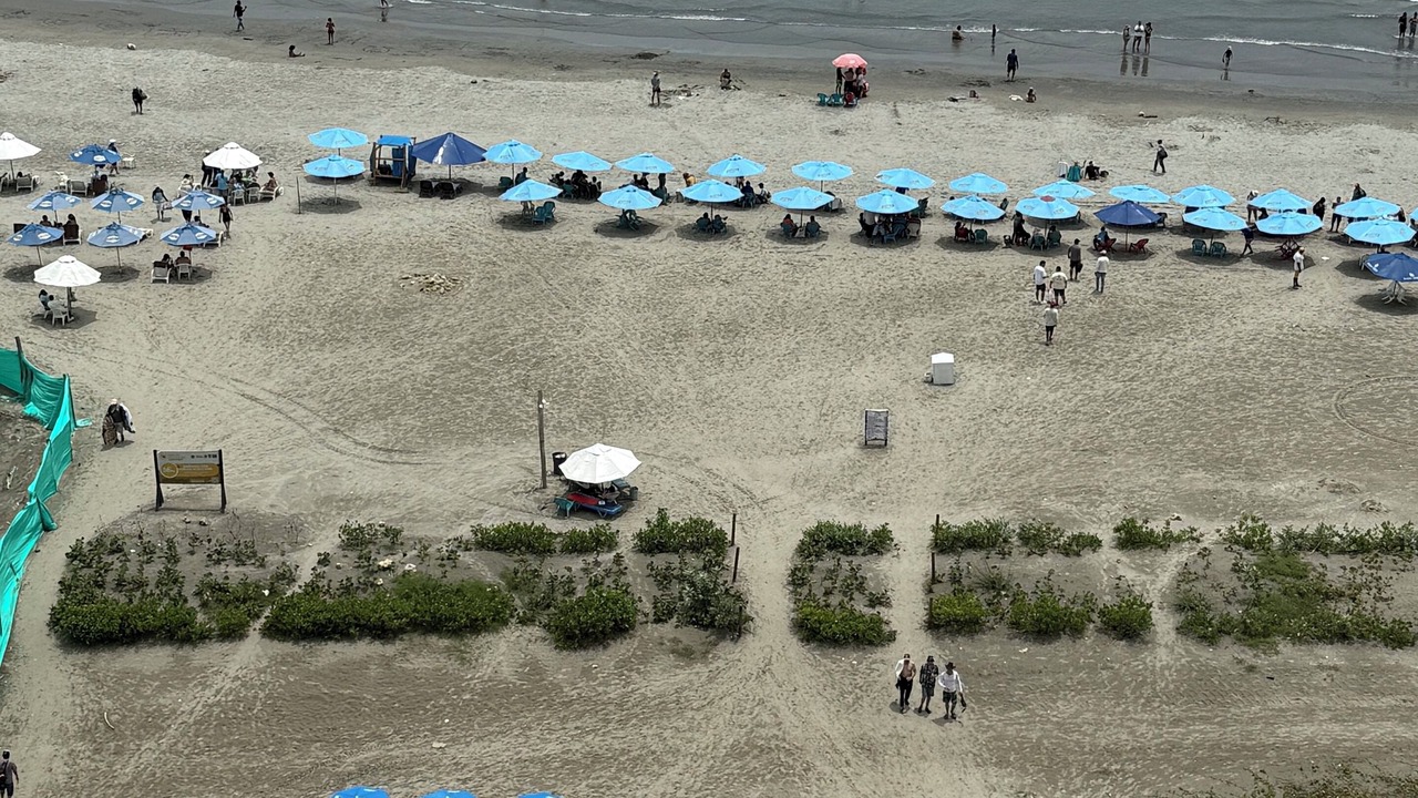 Photo of Others in Bocagrande