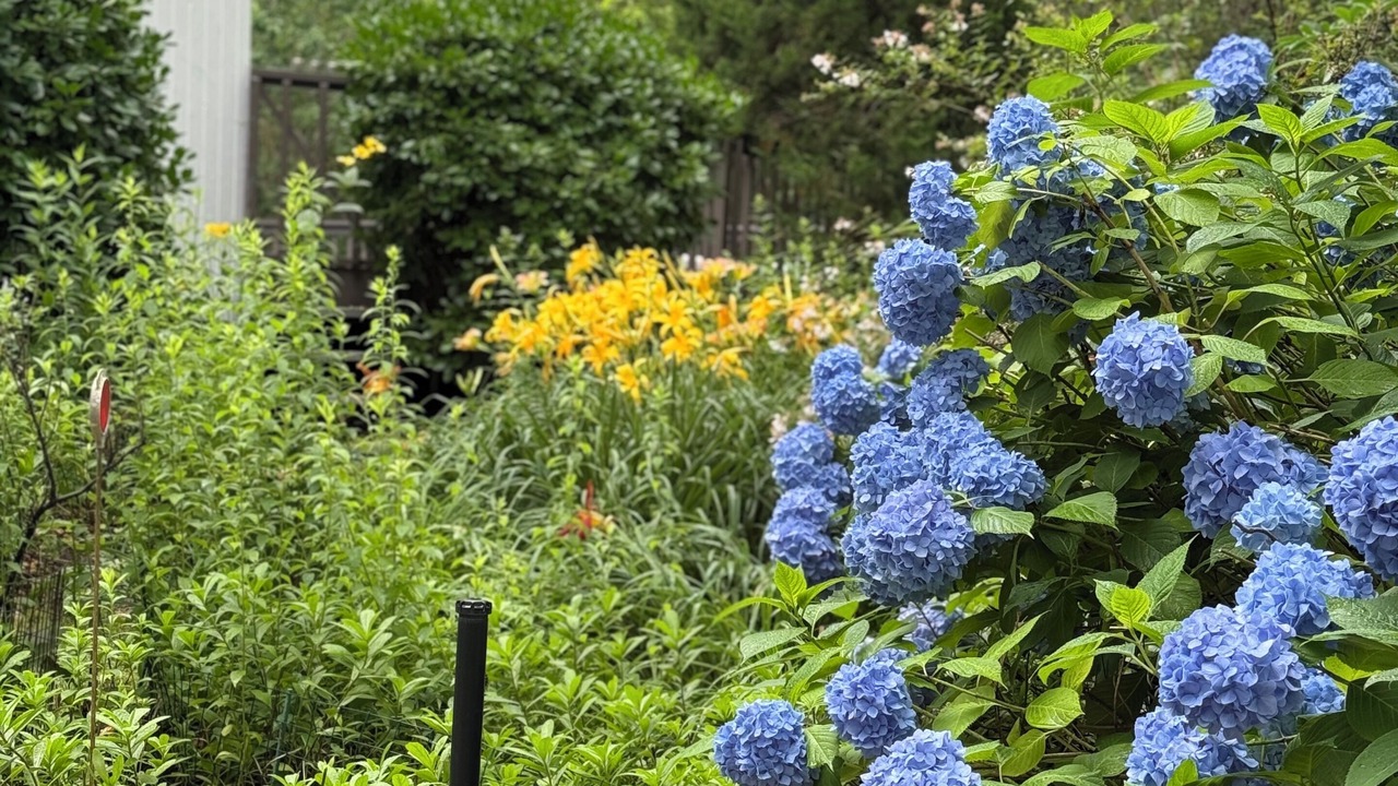 Photo of Outdoor in Sag Harbor
