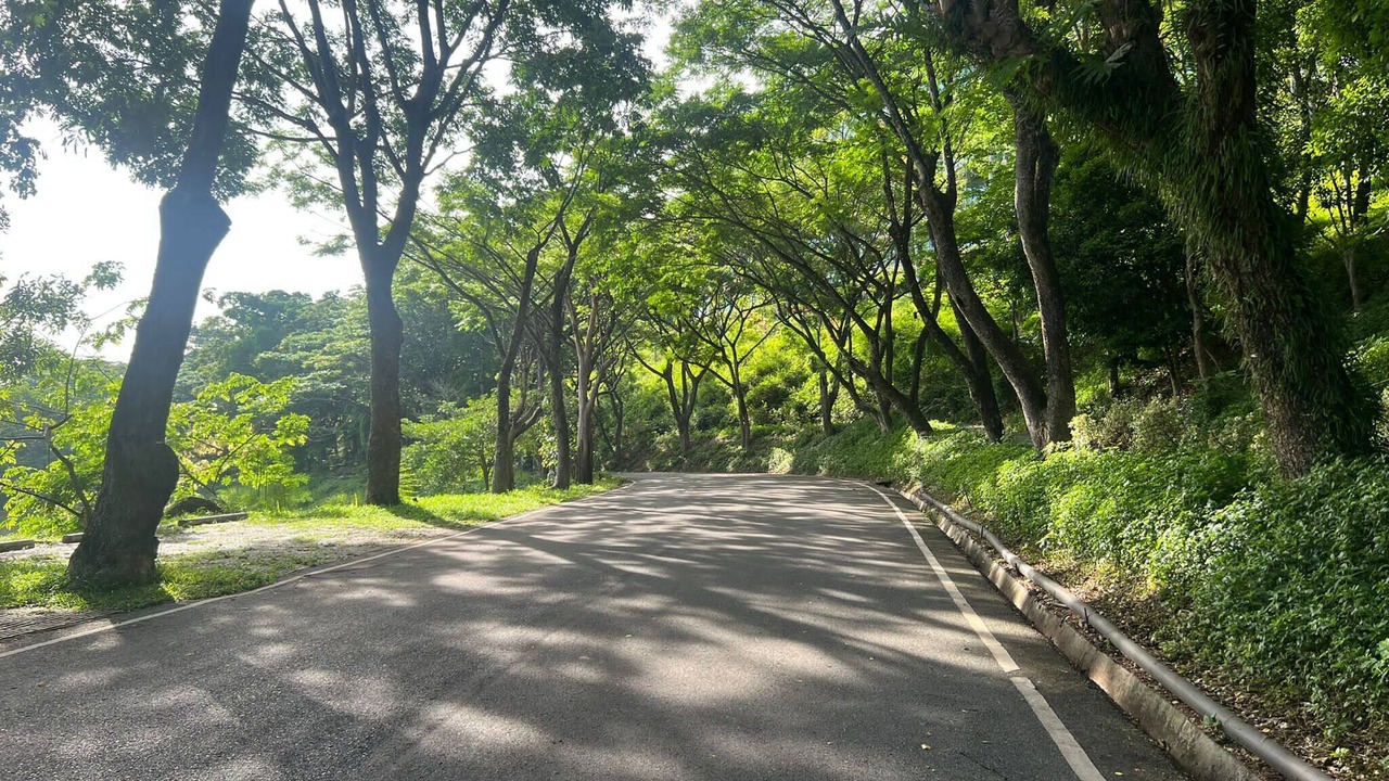 Photo of Others in Pong Ta Long