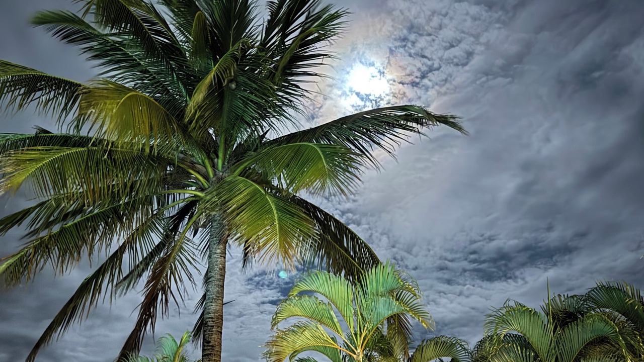 Photo of Outdoor in El Ocotal