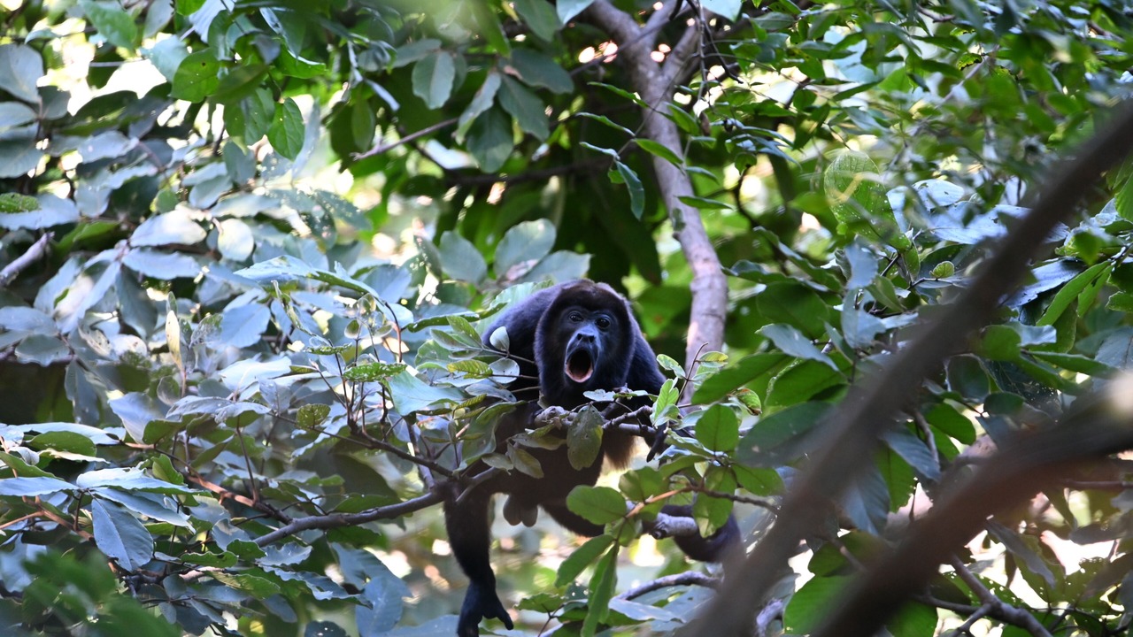 Photo of Others in El Ocotal