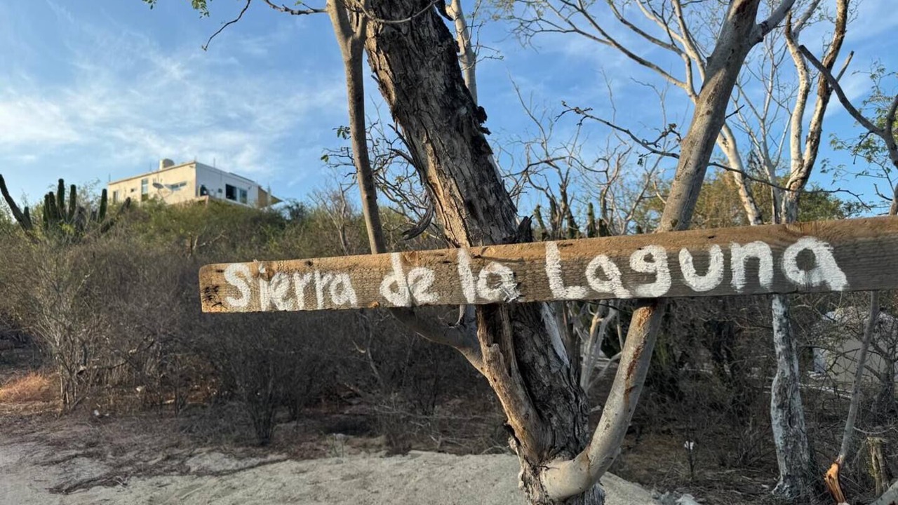 Photo of Others in Cabo Pulmo
