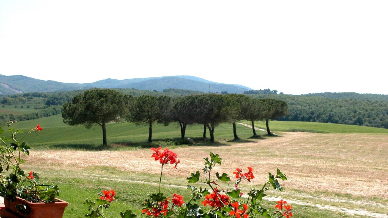 Photo of Others in Collesalvetti